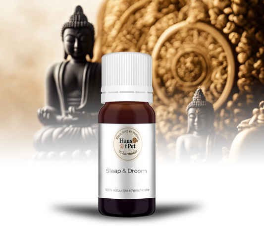 Slaap & Droom - 10 Ml - 100% Natuurzuivere Etherische Olie