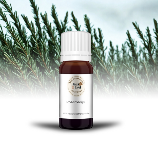 Rozemarijn - 10 Ml - 100% Natuurzuivere Etherische Olie