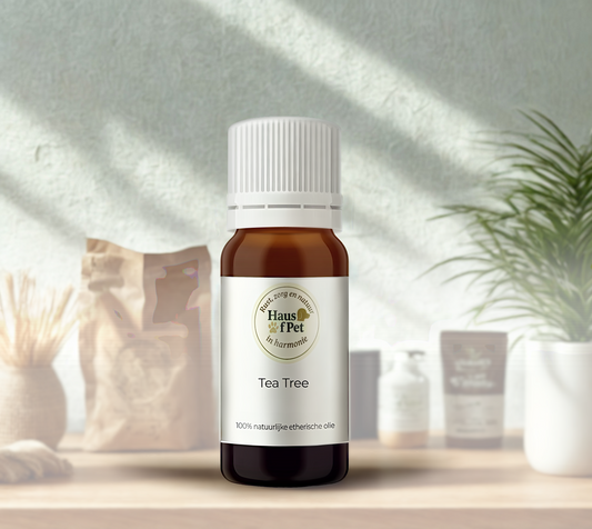 Tea Tree - 10 Ml - 100% Natuurzuivere Etherische Olie