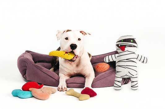 MummyBuddy™ Geen afgebroken huis meer