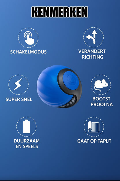 SpeelSafari™: Je huiskamer wordt één groot jachtterrein !