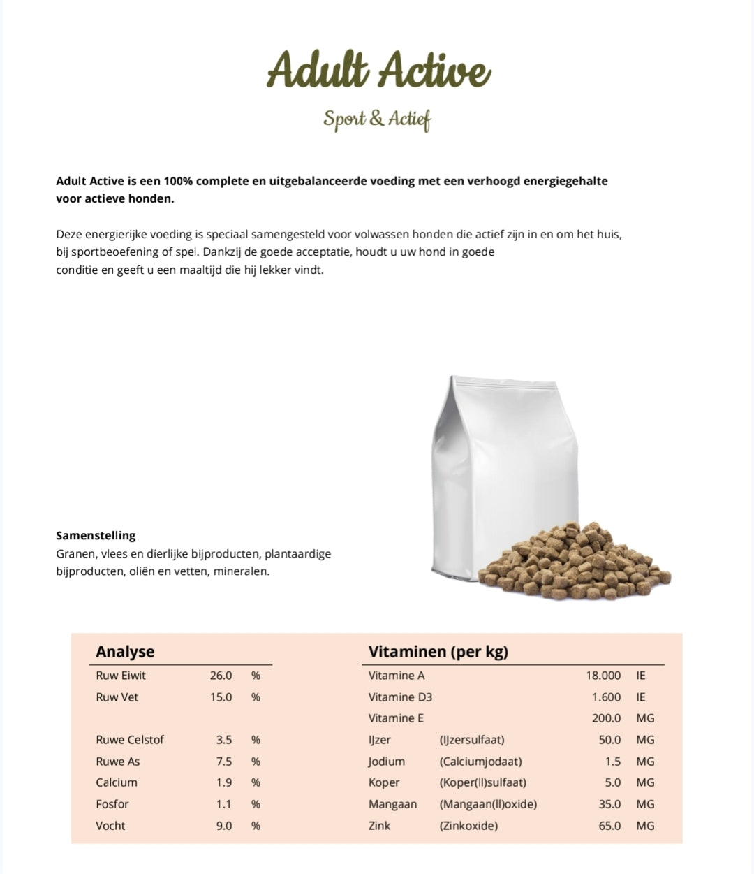 Adult Sport & Active