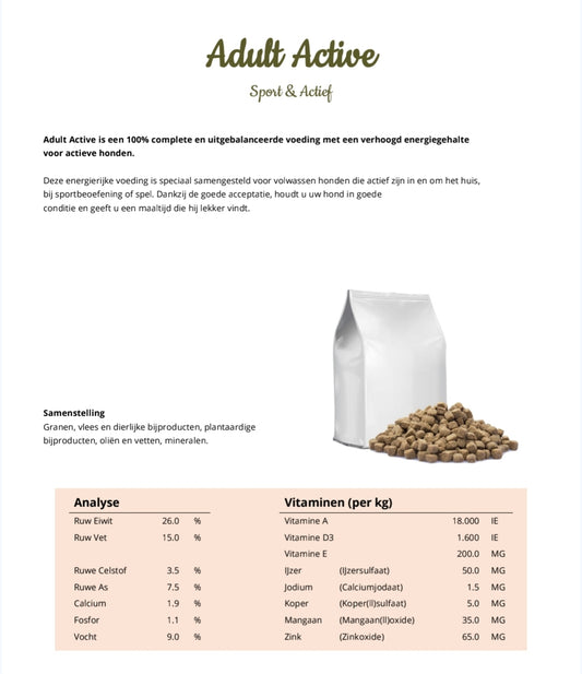 Adult Sport & Active