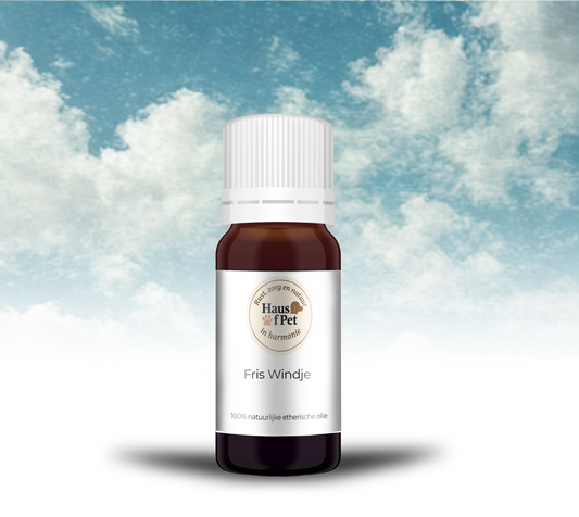 Fris Windje - 10 Ml - 100% Natuurzuivere Etherische Olie