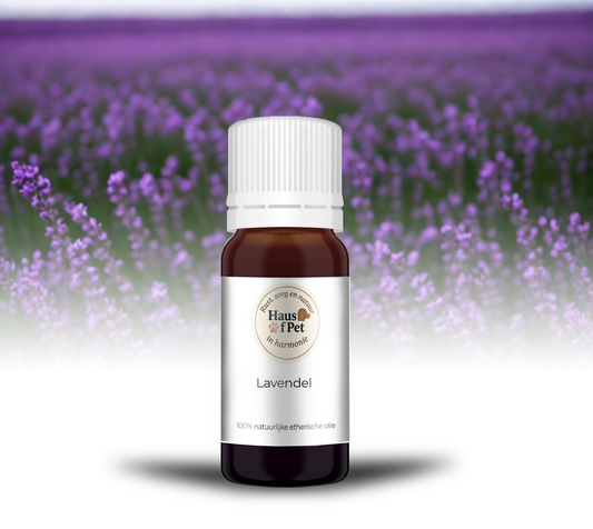 Lavendel - 10 Ml - 100% Natuurzuivere Etherische Olie